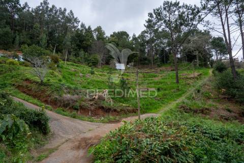 Terreno na encantadora freguesia do santo da serra ilha da madeira