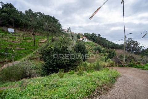 Terreno na encantadora freguesia do santo da serra ilha da madeira