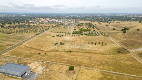 Quinta com 2,8250 ha e ruínas com 46 m2 em fornalhas velhas