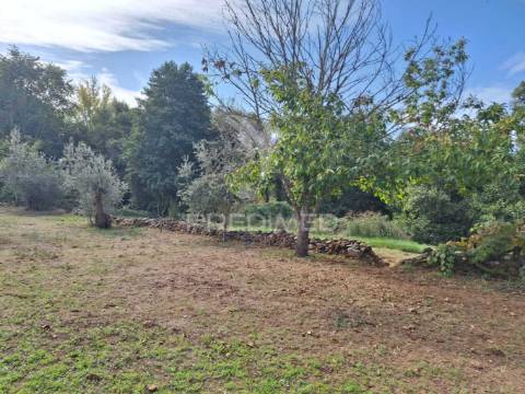 Quinta em alegrete