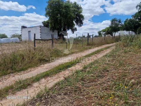 Terreno. rustico, no  torrão do alentejo