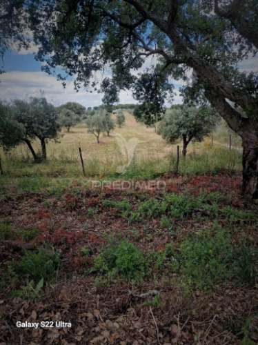 Terreno. rustico, no  torrão do alentejo