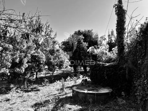 Terreno construtivo | oportunidade