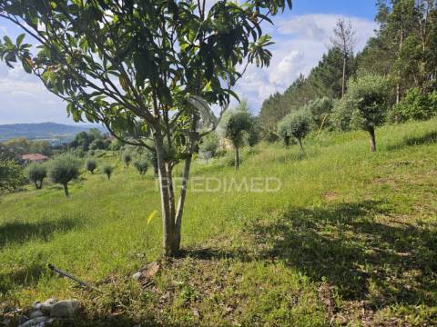 Moradia de campo