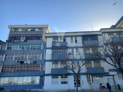 T3 paivas
