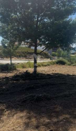 Lote de construção - alto de fridão