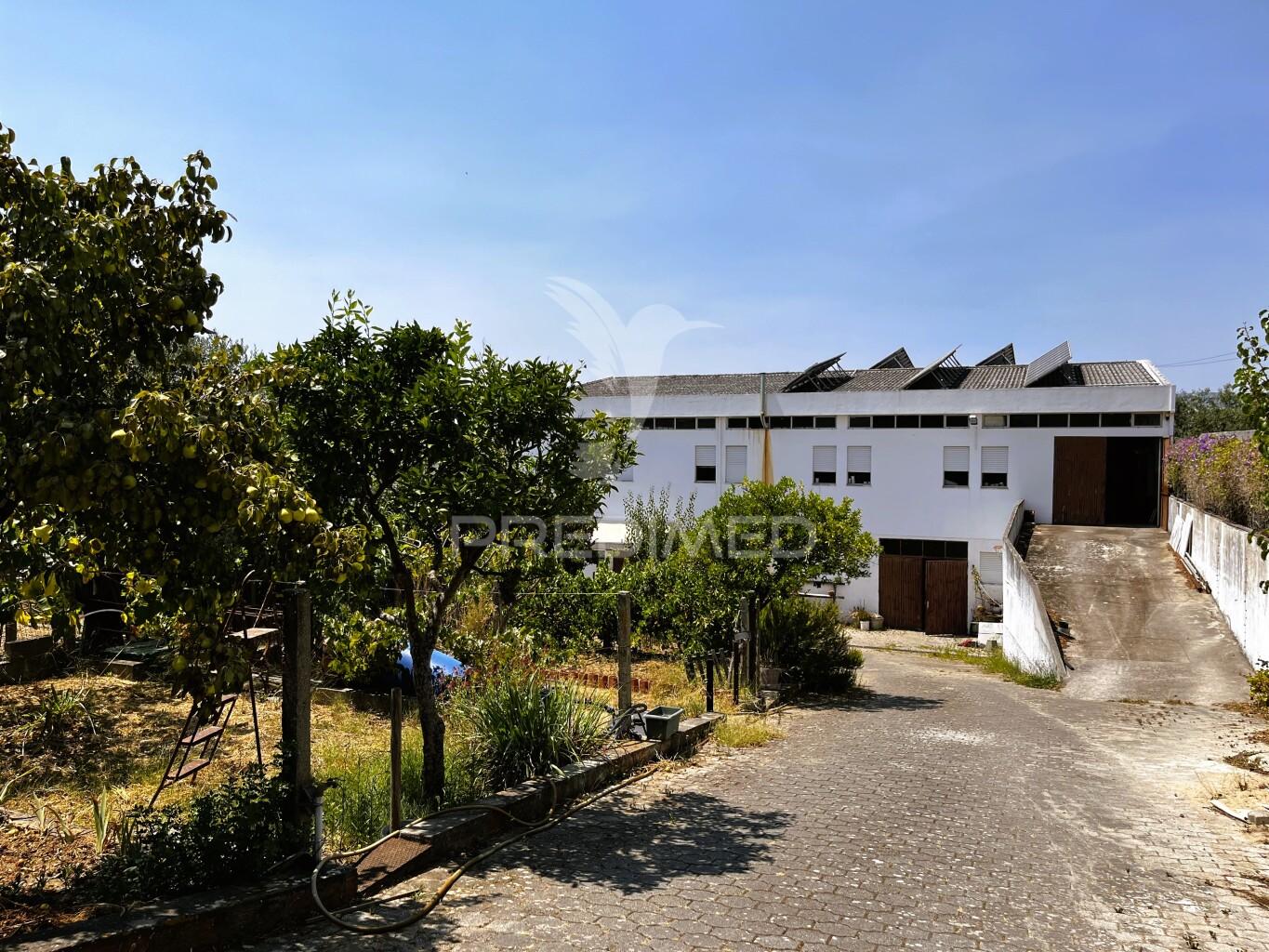 Armazém multifuncional (com terreno de 1375m2)