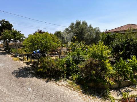 Armazém multifuncional (com terreno de 1375m2)