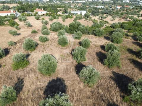 Terreno rústico com 3.340 m² – troviscal, alcanena