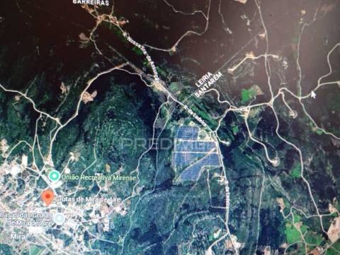 Terreno rústico em minde alcanena zona de ventoinhas