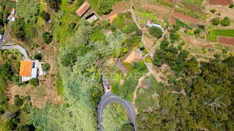 Moradia caniço