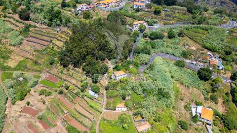 Moradia caniço