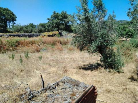 Terreno