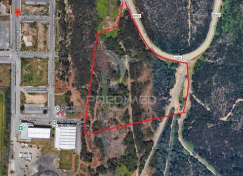Terreno rústico com 25.000 m² em são pedro da cova – potencial agrícola e lazer