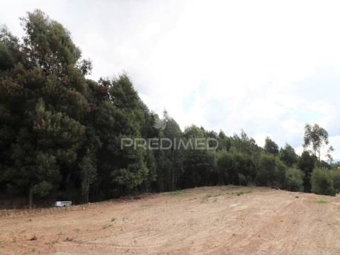Terreno rústico com 25.000 m² em são pedro da cova – potencial agrícola e lazer