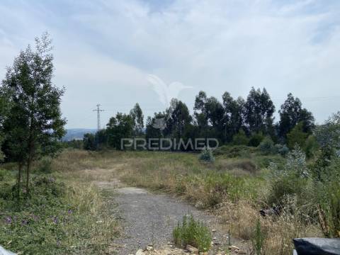 Terreno rústico com 25.000 m² em são pedro da cova – potencial agrícola e lazer