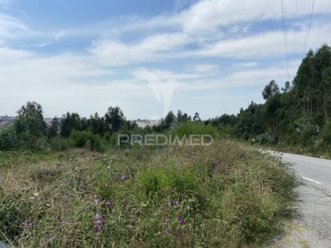 Terreno rústico com 25.000 m² em são pedro da cova – potencial agrícola e lazer