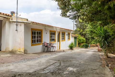 Moradia em cela, alcobaça, para arrendar