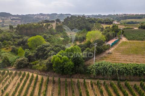 Moradia em cela, alcobaça, para arrendar