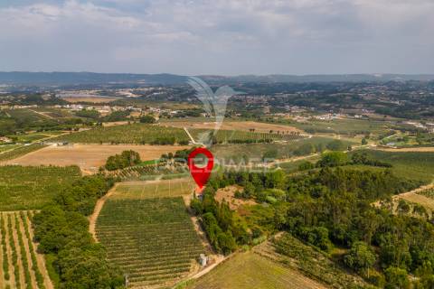 Moradia em cela, alcobaça, para arrendar