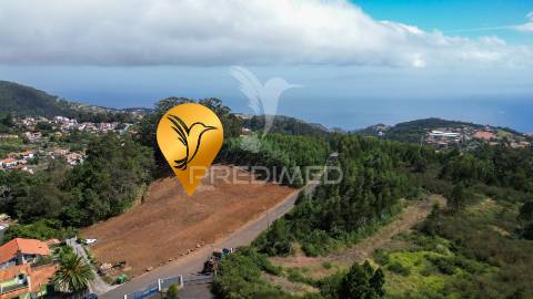 Terreno loteado na camacha – 5 lotes com possibilidade de construir até 10 moradias