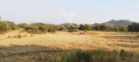 Terreno agricola