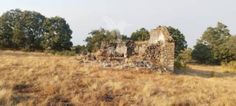 Terreno agricola