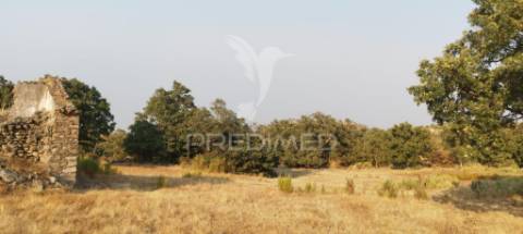 Terreno agricola