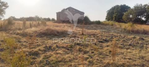 Terreno agricola