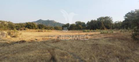 Terreno agricola