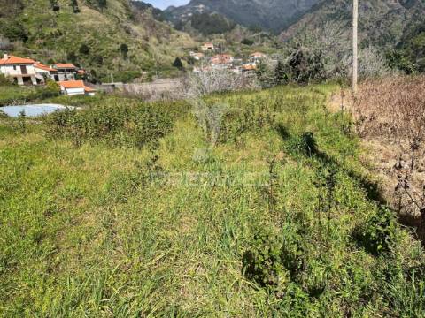 Moradia térrea toda a pedra, para recuperar t2  com 700m2 de terreno na serra de agua- ribeira brava
