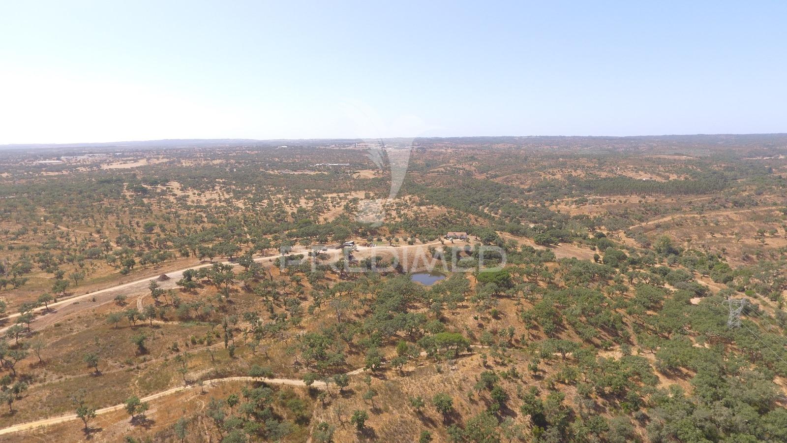 Herdade com 100ha em santiago do cacém