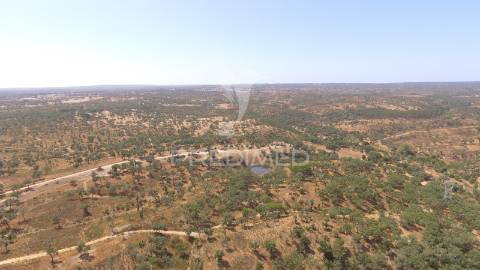 Herdade com 100ha em santiago do cacém