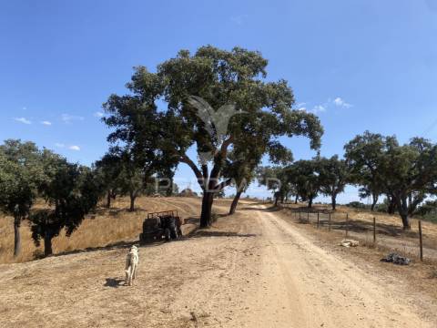 Herdade com 100ha em santiago do cacém