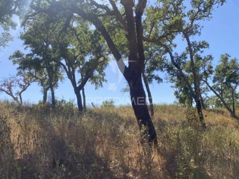 Herdade com 100ha em santiago do cacém