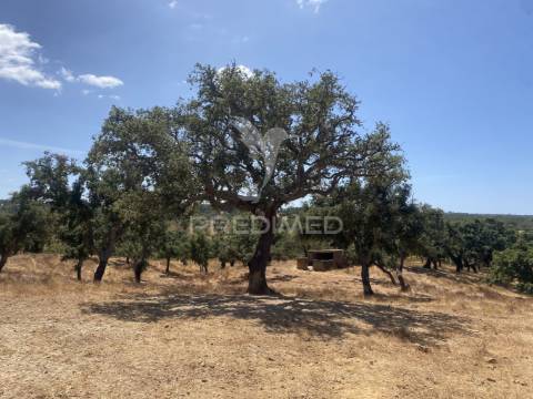 Herdade com 100ha em santiago do cacém