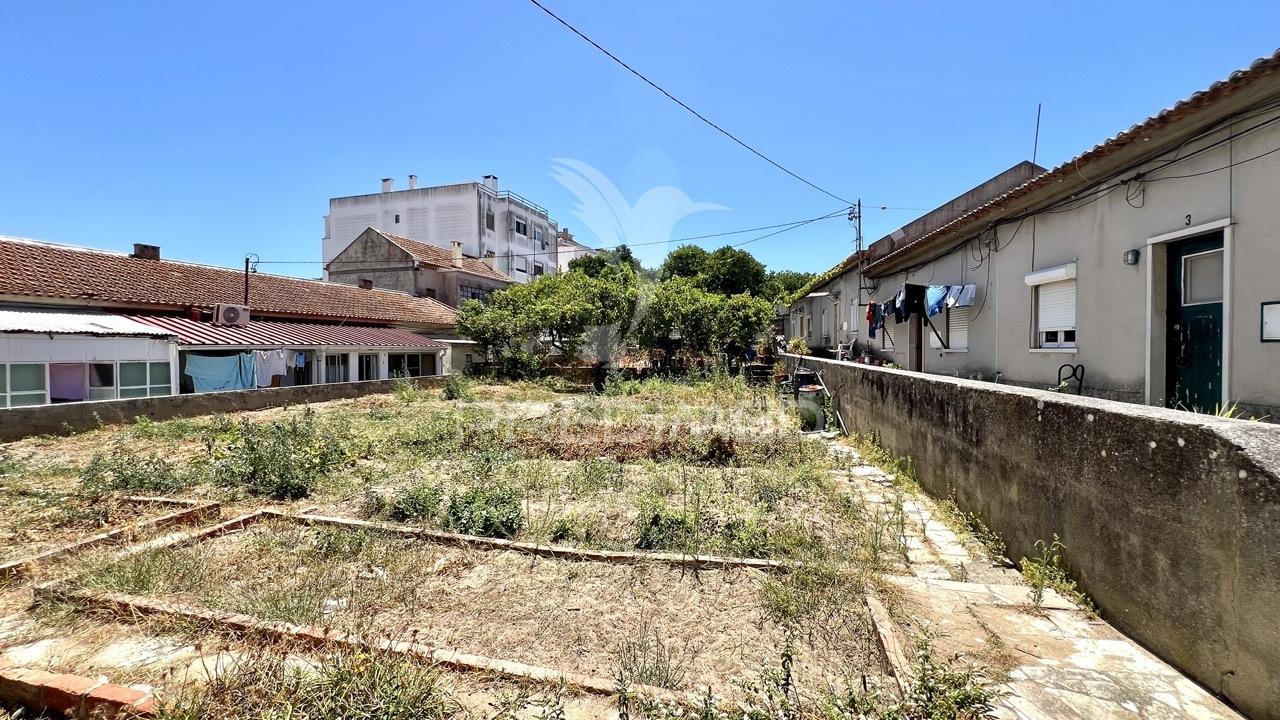 Conjunto de imóveis com potencial de rentabilidade em vila romeira