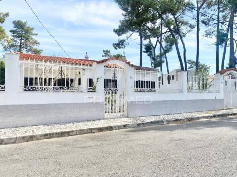 Moradia  - aroeira