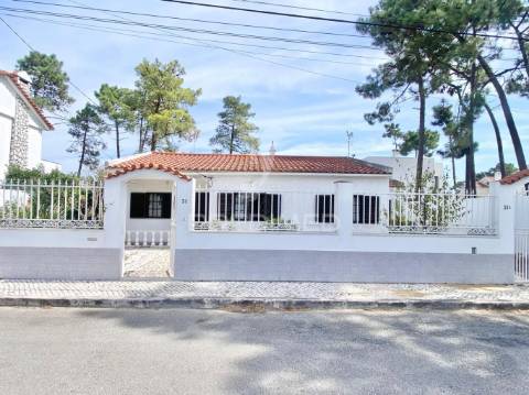 Moradia  - aroeira