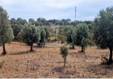 Propriedade -terreno rustico -monte da tumba