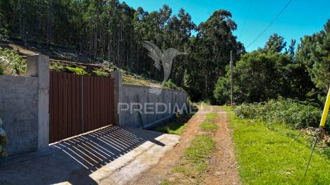 Terreno rústico 3.355m2 boqueirao- gaula