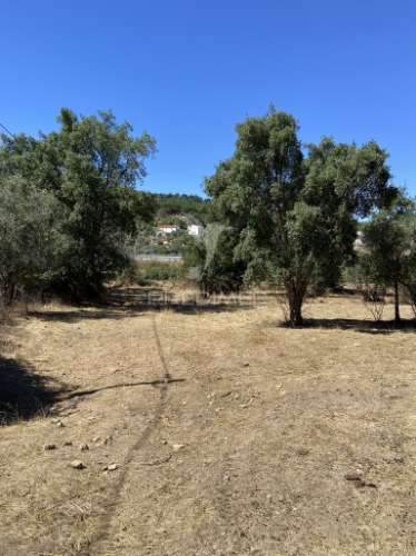 Terreno urbano com 5000mts2, em portalegre