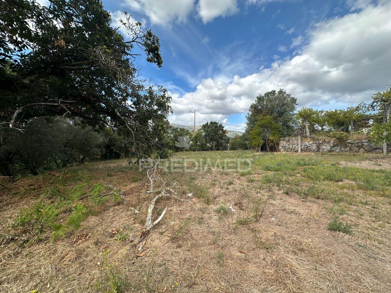 Terreno à venda em ponte de lima com cerca de 10.100 m²