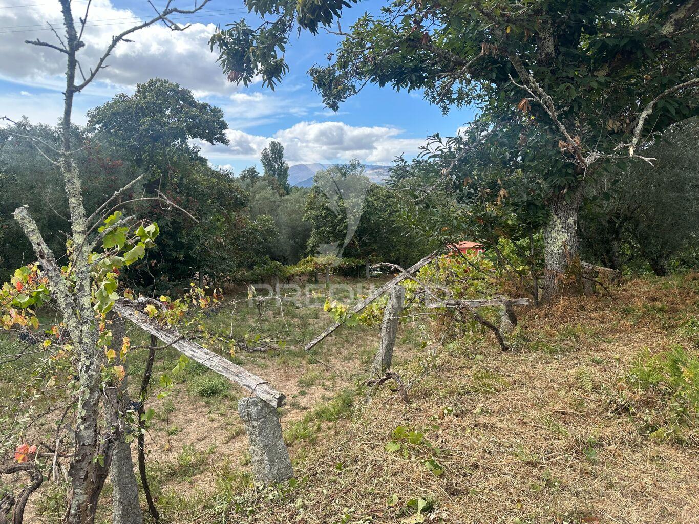 Terreno à venda em ponte de lima com cerca de 10.100 m²