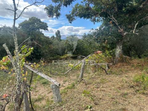 Terreno à venda em ponte de lima com cerca de 10.100 m²