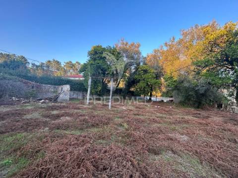 Oportunidade única em ponte de são vicente – vila verde
