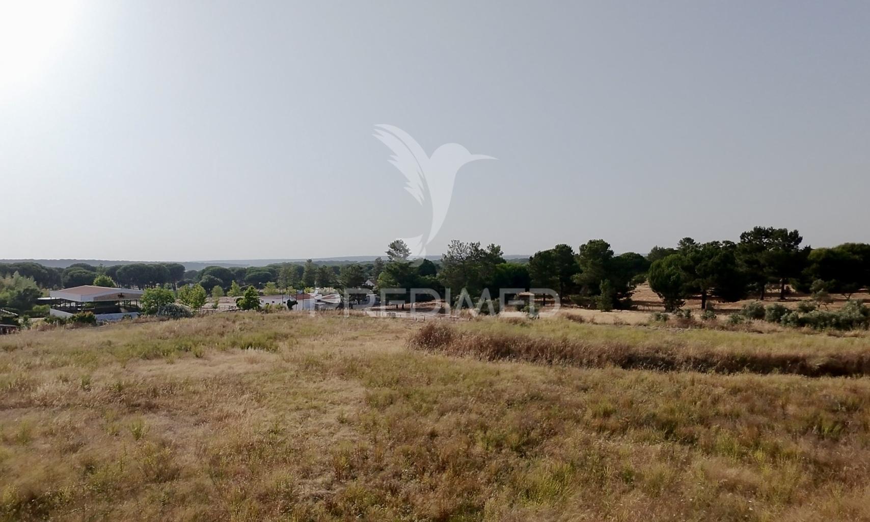 Terreno com 18.000 m² em alcácer do sal