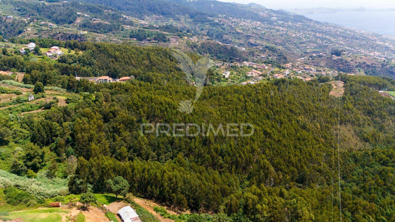 Terreno rústico - ideal para projeto agrícola