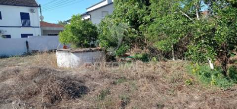 Terreno rústico c/ viabilidade de construção, bemposta- abrantes