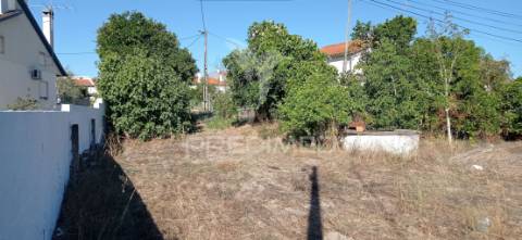 Terreno rústico c/ viabilidade de construção, bemposta- abrantes